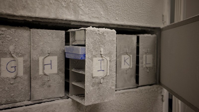 scientists-aim-to-preserve-microbial-diversity-with-doomsday-vault-