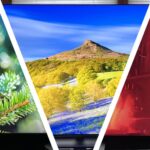 top-3-tvs-of-2025-a-reviewer-s-perspective-on-the-best-in-class