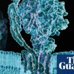 understanding-metabolic-syndrome-a-growing-health-concern