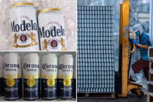 constellation-brands-faces-challenges-amid-tariffs-and-immigration-policies