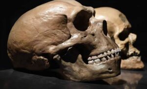 discovery-in-zagros-mountains-unveils-first-meeting-of-homo-sapiens-and-neanderthals
