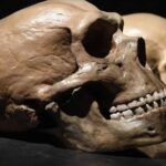 discovery-unveils-zagros-mountains-as-meeting-point-of-homo-sapiens-and-neanderthals
