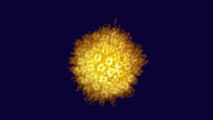 herpes-virus-shows-promise-as-breakthrough-cancer-treatment