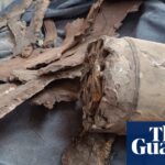 israeli-airstrike-on-gaza-cafe-sparks-international-outcry