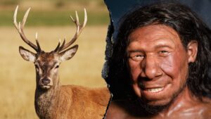 neanderthals-ancient-fat-factory-uncovered-in-germany