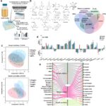 new-atlas-maps-pesticide-impact-on-gut-bacteria-suggests-probiotic-solutions