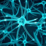 new-study-reveals-ongoing-brain-cell-growth-in-adulthood