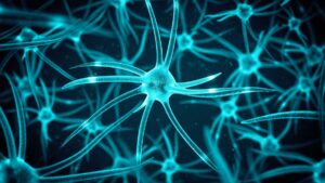 new-study-reveals-ongoing-brain-cell-growth-in-adulthood