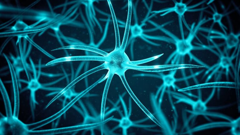 new-study-reveals-ongoing-brain-cell-growth-in-adulthood