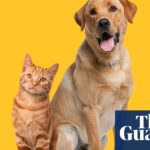 pet-ownership-linked-to-slower-cognitive-decline-study-reveals