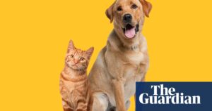 pet-ownership-linked-to-slower-cognitive-decline-study-reveals