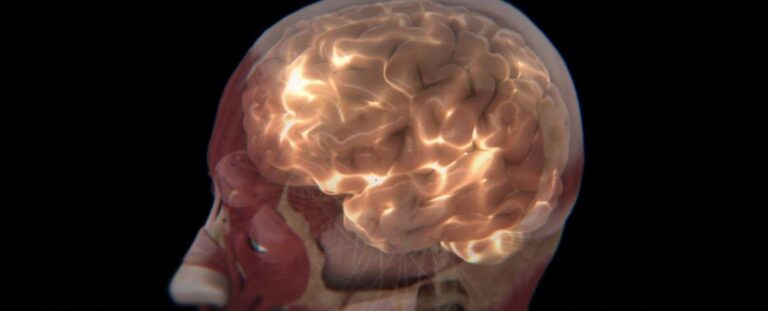 scientists-explore-human-brain-s-faint-glow-for-health-insights