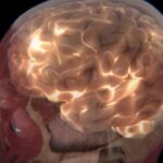 scientists-explore-human-brain-s-mysterious-glow-for-health-insights