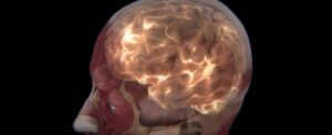 scientists-explore-human-brain-s-mysterious-glow-for-health-insights