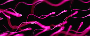 seminal-plasma-hypersensitivity-a-hidden-allergy-affecting-both-genders