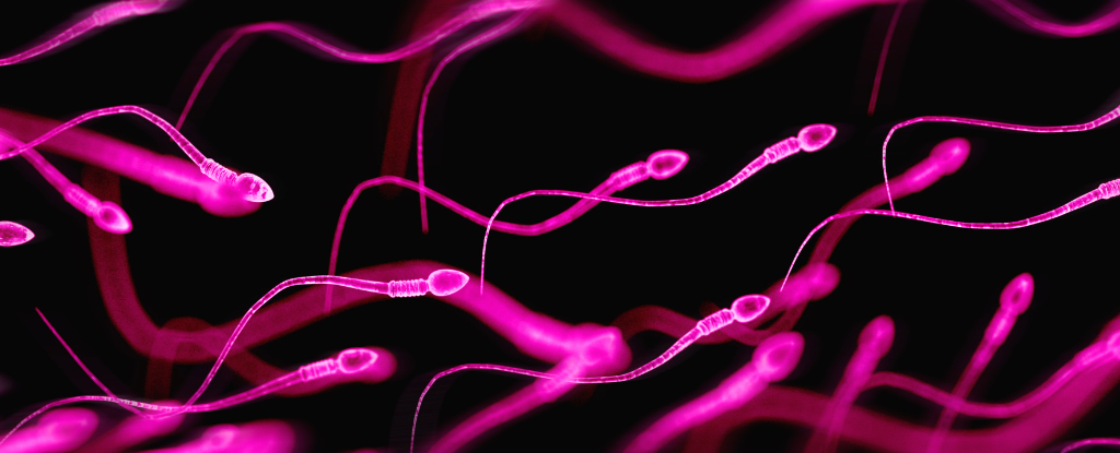seminal-plasma-hypersensitivity-a-hidden-allergy-affecting-both-genders